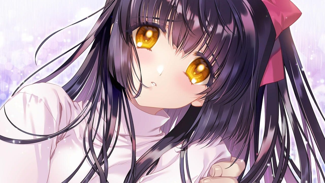无颜之月-待宵双椿 资源内容 资料图 4